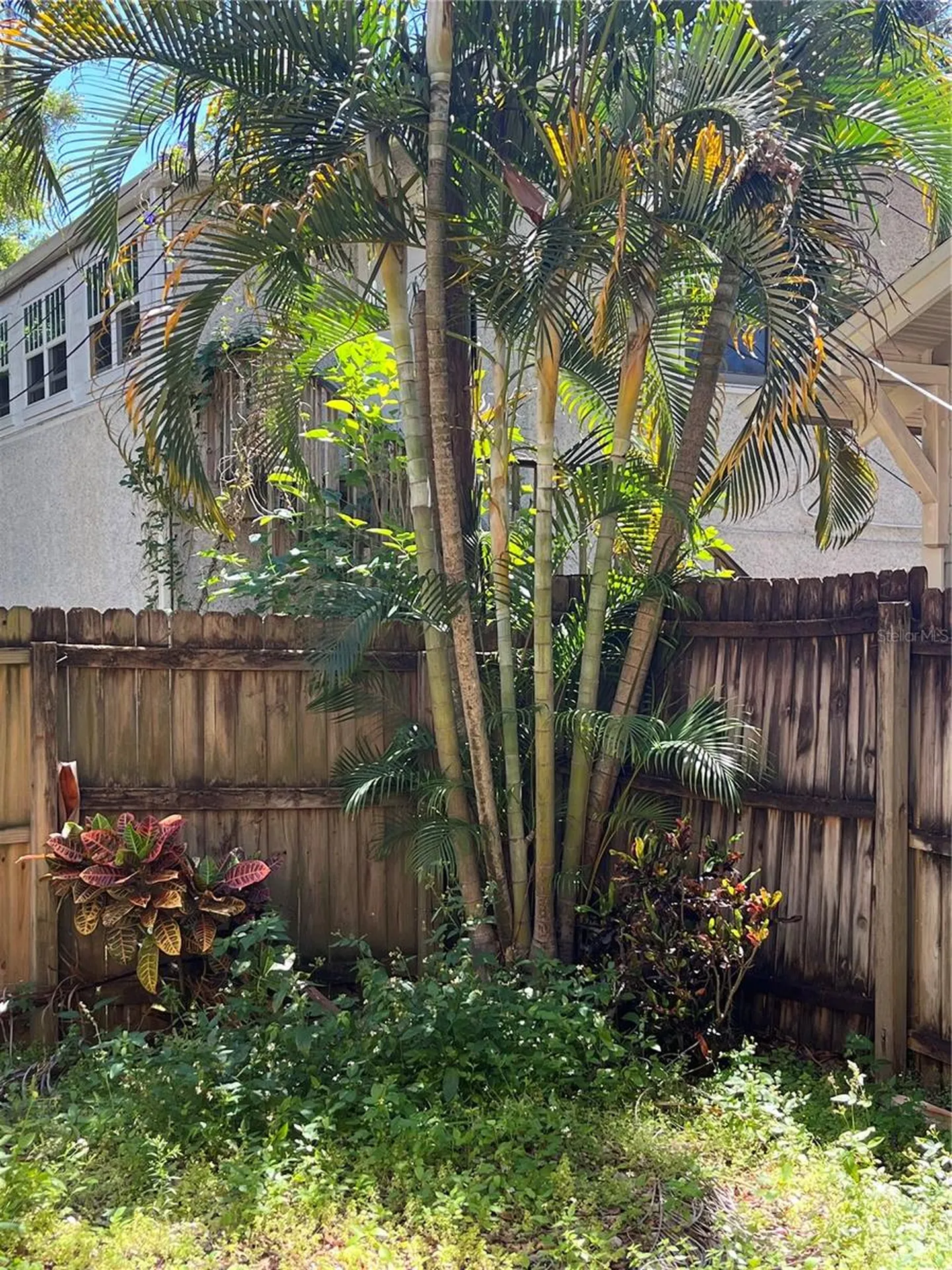 520 E Amelia Street Orlando FL 32803