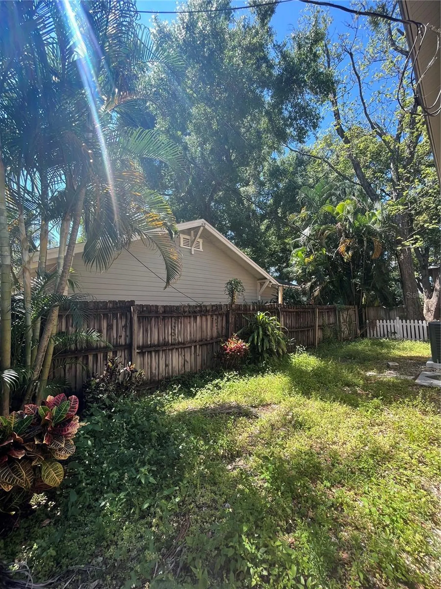 520 E Amelia Street Orlando FL 32803