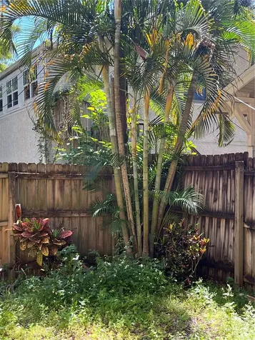 520 E Amelia Street Orlando FL 32803