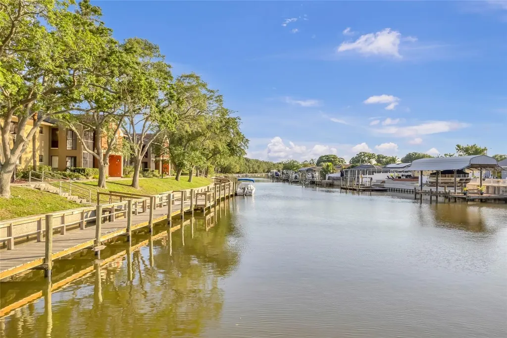 5684 Baywater Drive Tampa FL 33615