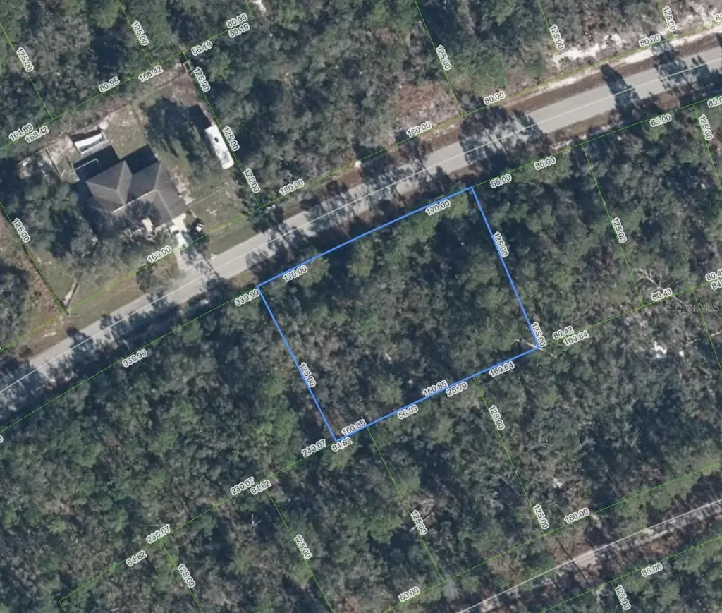3122 Coolidge Avenue Lake Placid FL 33852