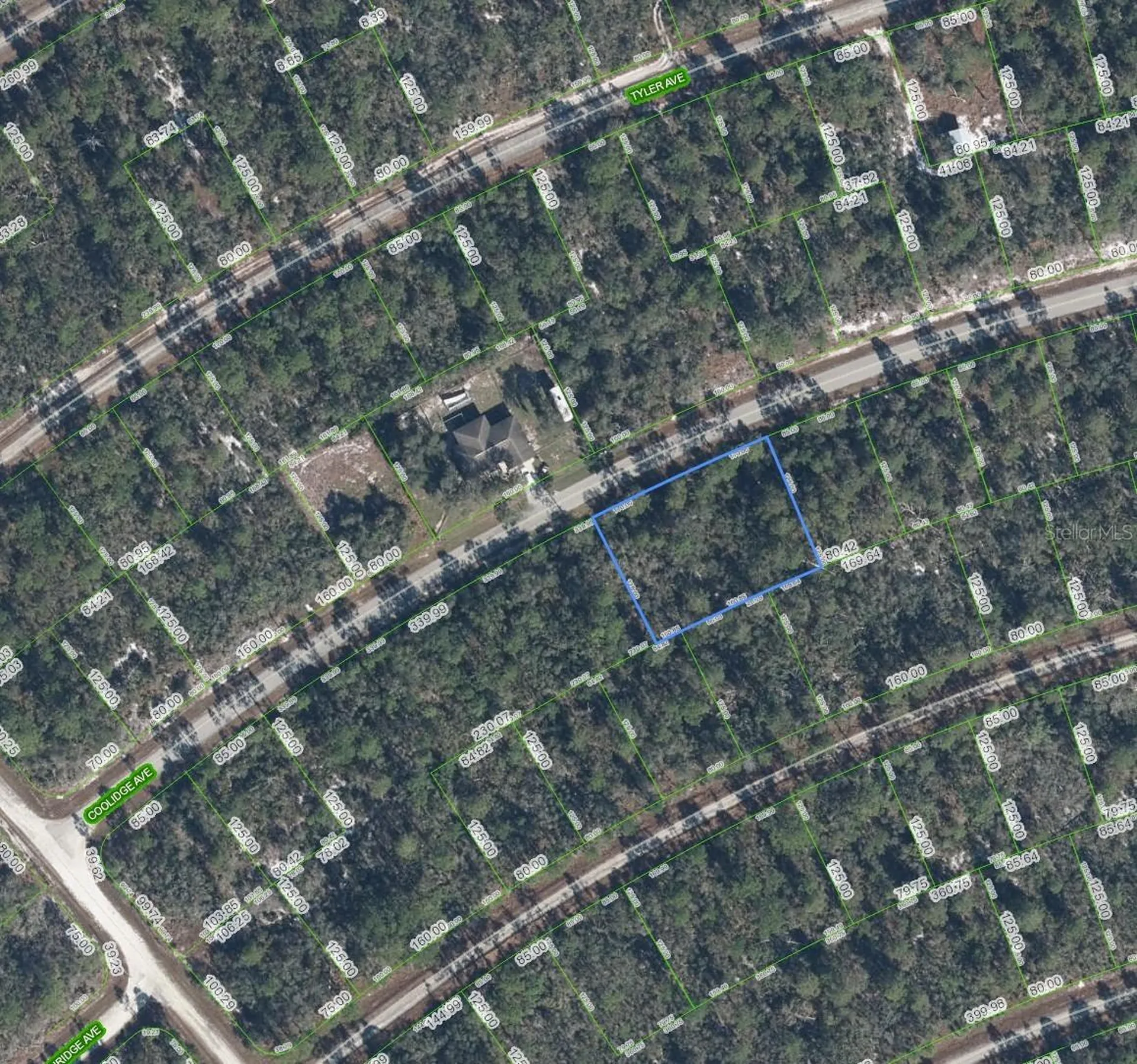 3122 Coolidge Avenue Lake Placid FL 33852