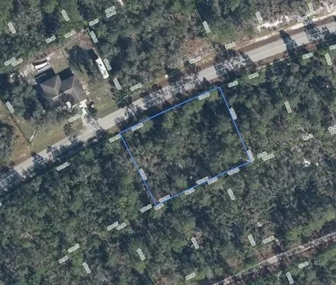 3122 Coolidge Avenue Lake Placid FL 33852