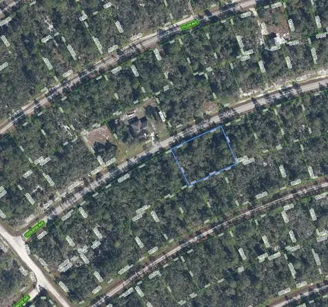 3122 Coolidge Avenue Lake Placid FL 33852