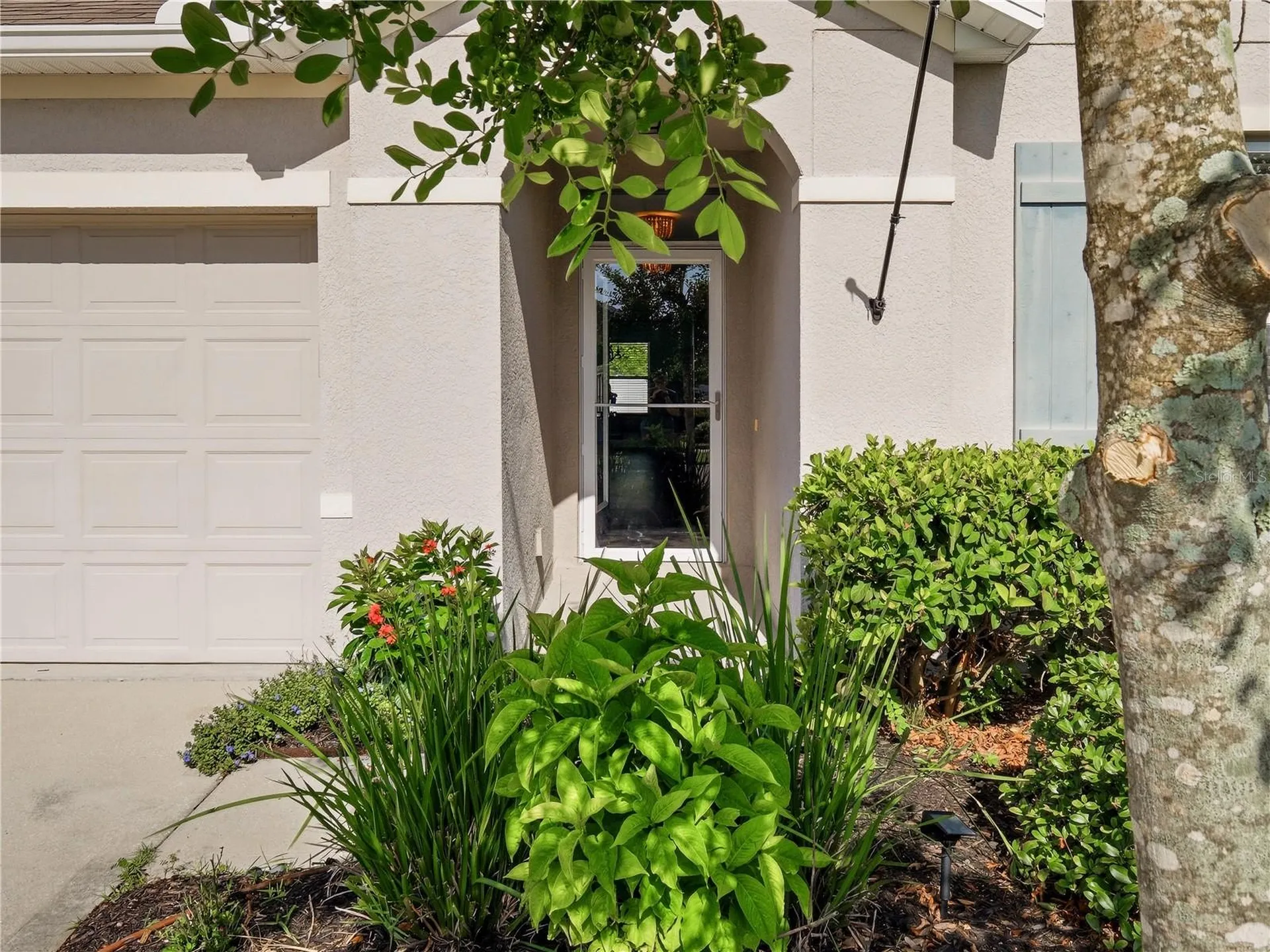 2752 Star Coral Lane New Smyrna Beach FL 32168