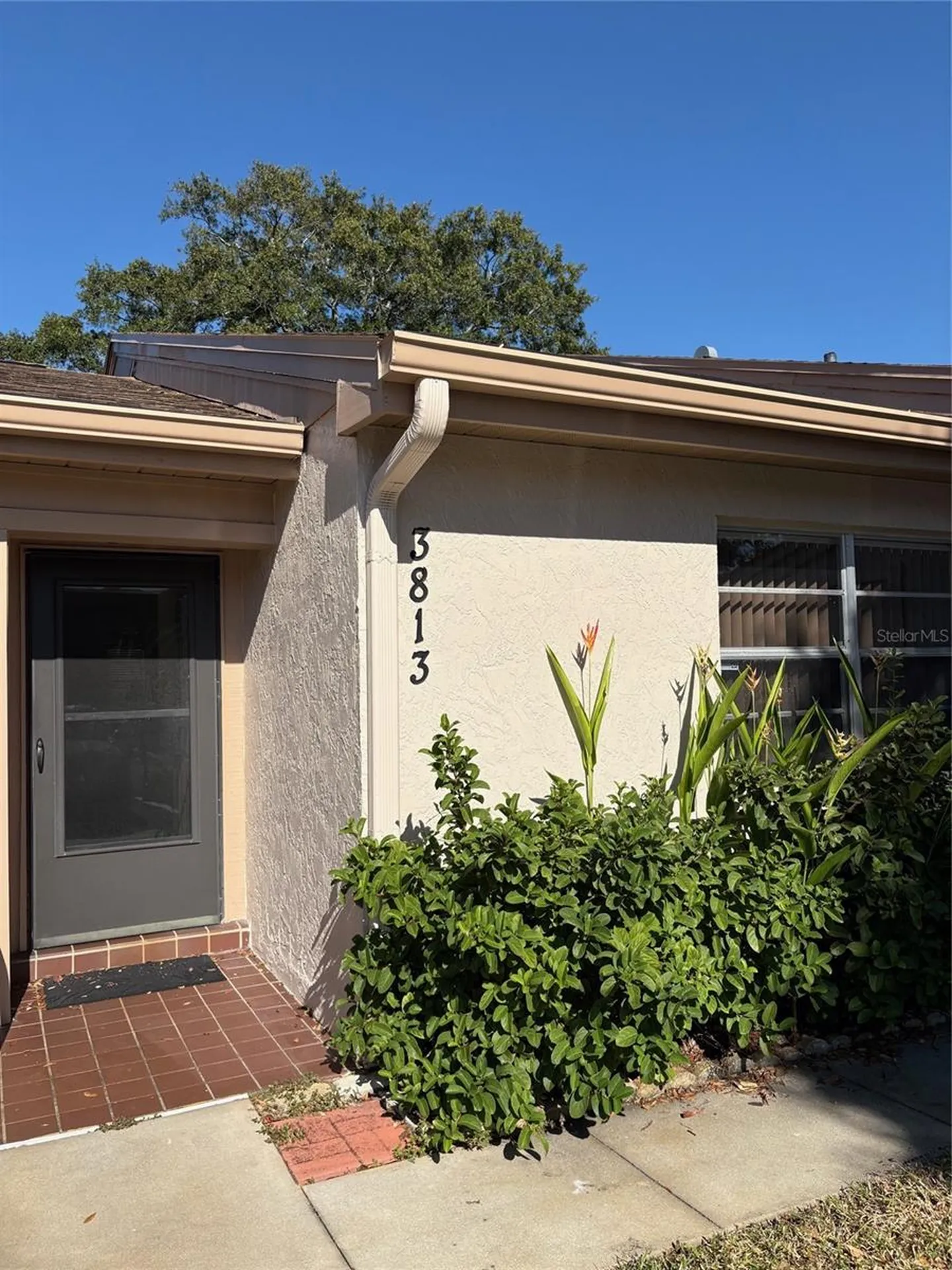 3813 Staysail Lane Holiday FL 34691