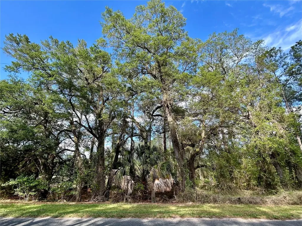 4819 NE 211th Drive Earleton FL 32631