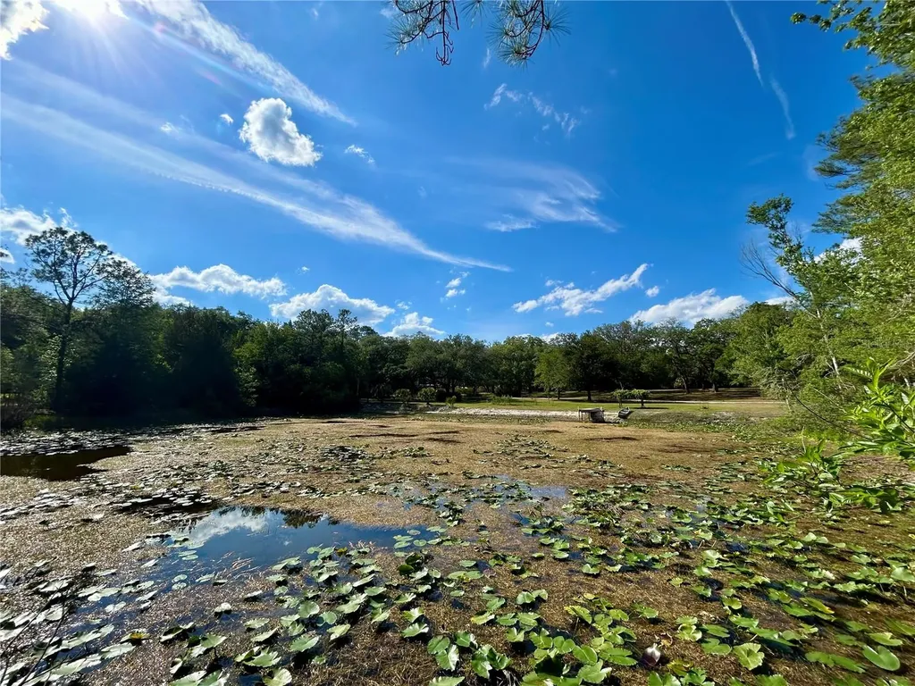 4819 NE 211th Drive Earleton FL 32631
