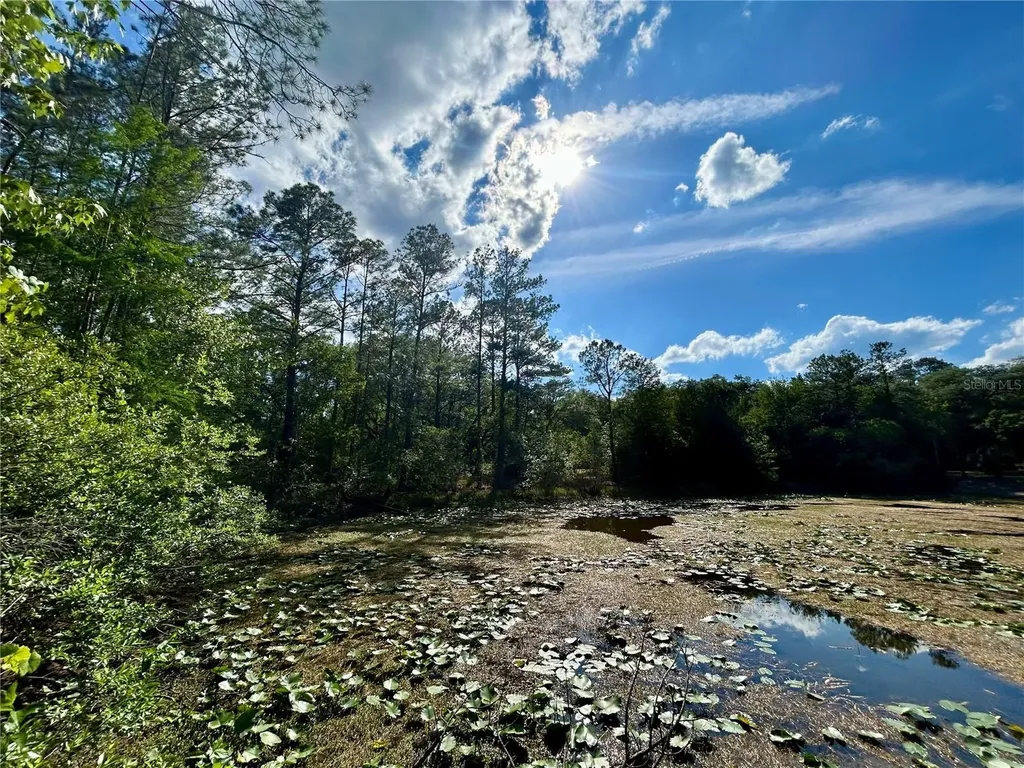 4819 NE 211th Drive Earleton FL 32631