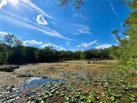 4819 NE 211th Drive Earleton FL 32631