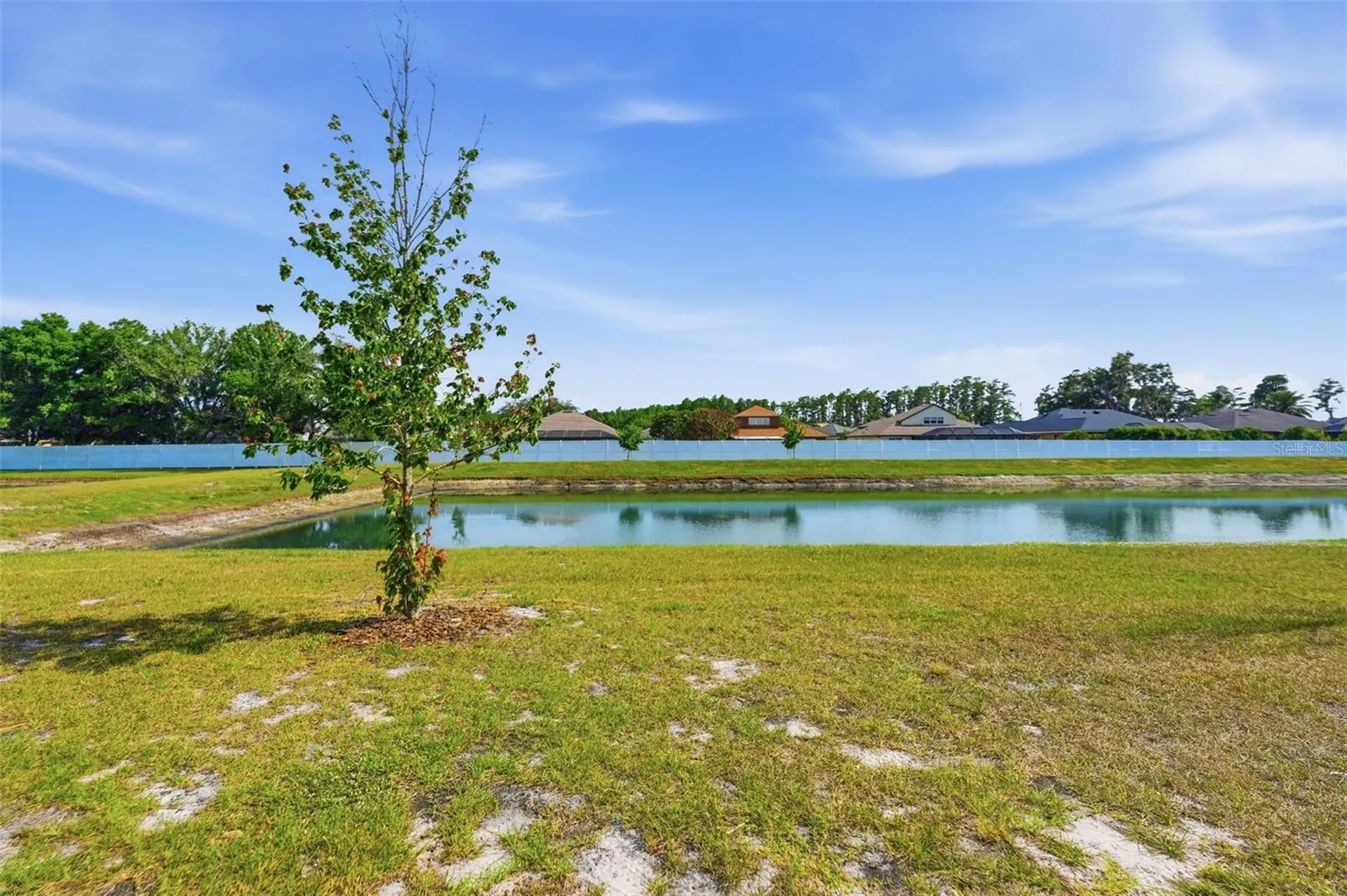 6010 Shiner Street Land O Lakes FL 34638
