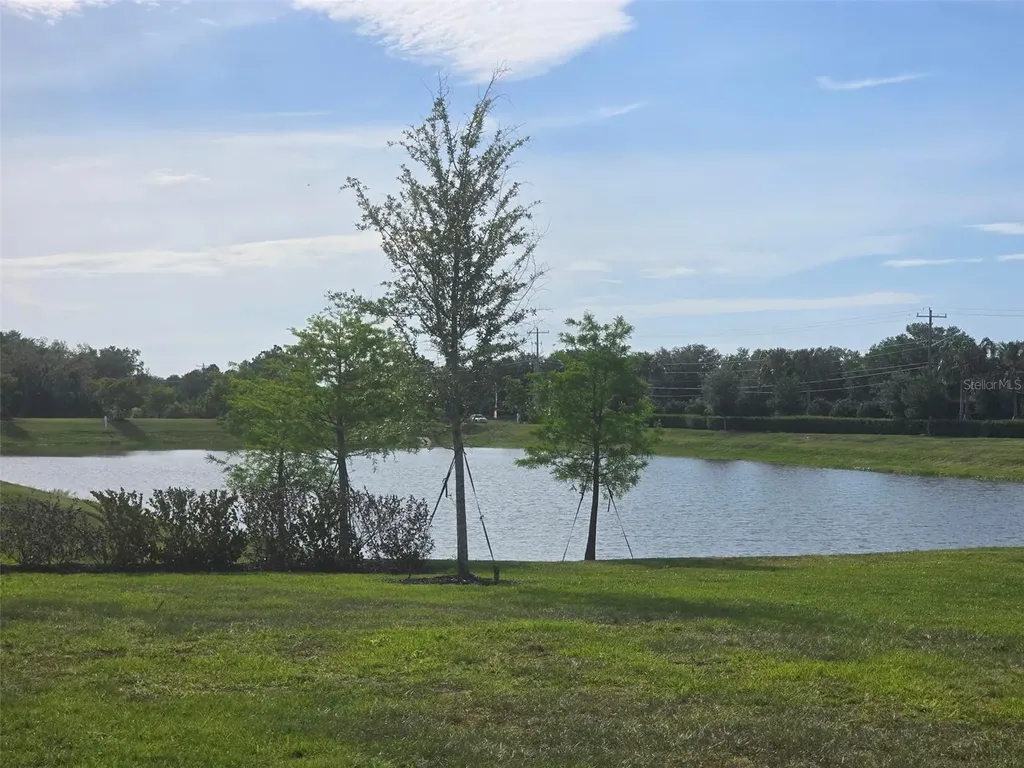 13031 Bluff Oak Way Parrish FL 34219