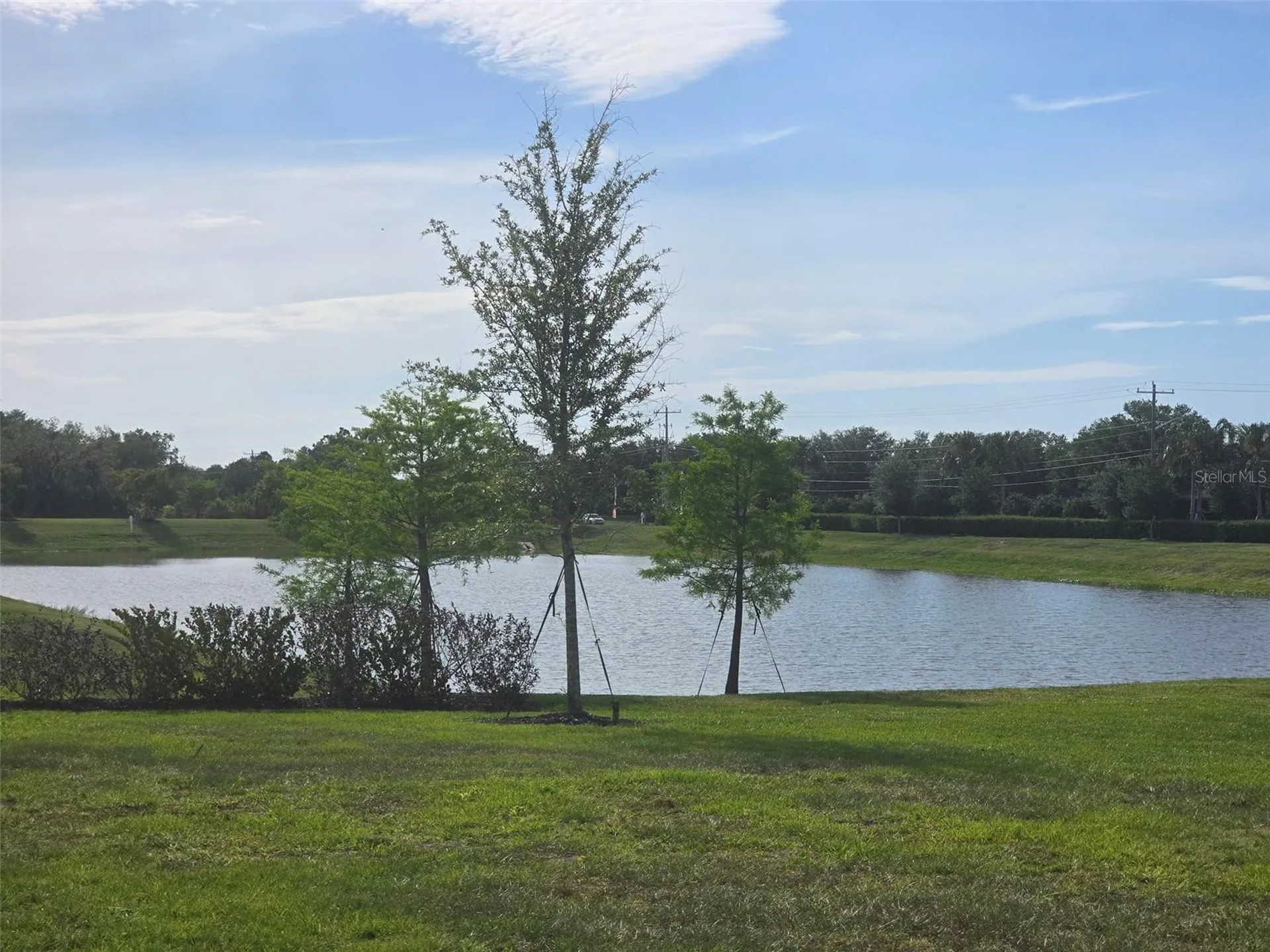 13031 Bluff Oak Way Parrish FL 34219