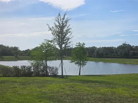 13031 Bluff Oak Way Parrish FL 34219