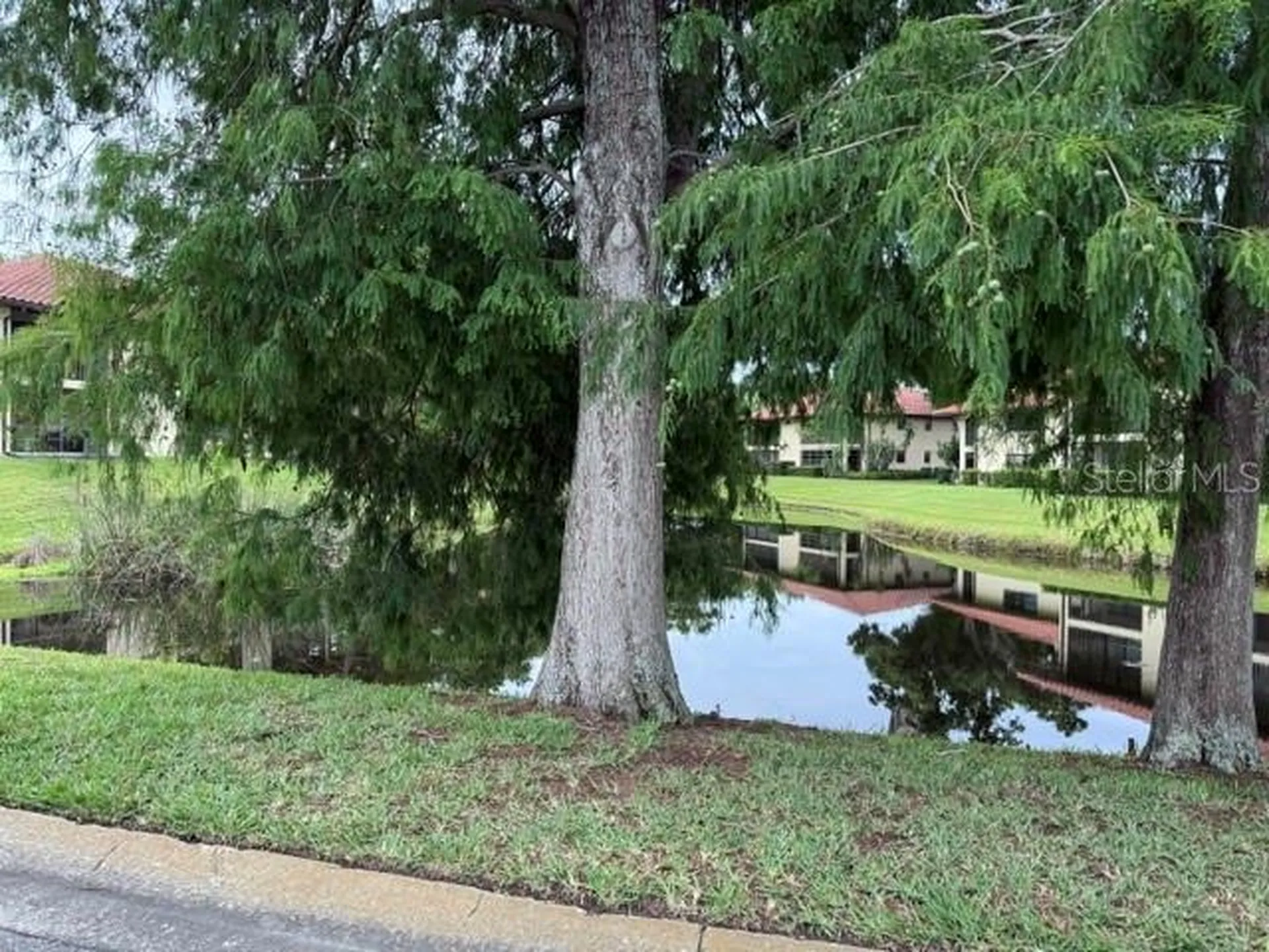 1711 Hammock Pine Boulevard Clearwater FL 33761