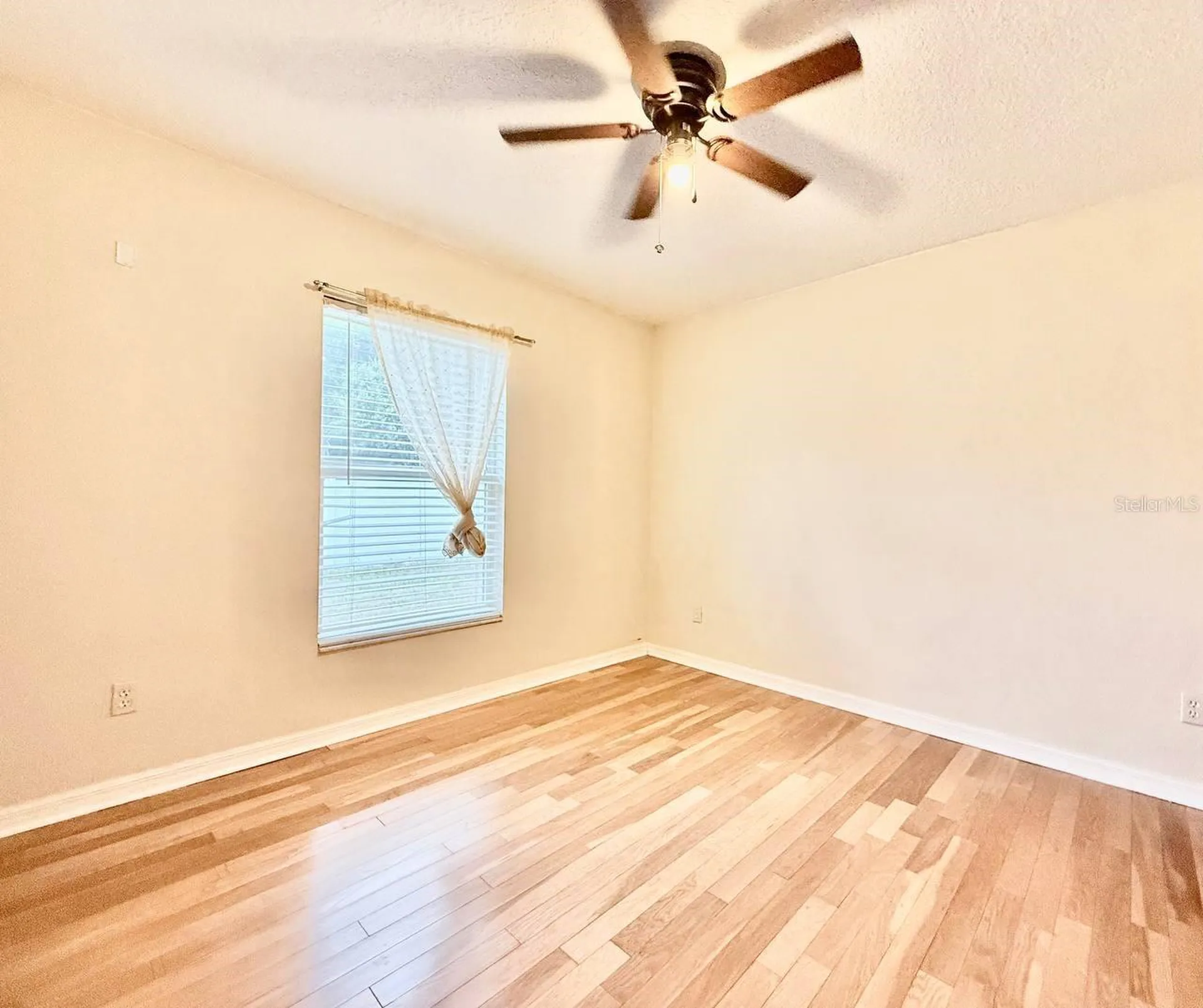 6807 Kingston Drive Tampa FL 33619