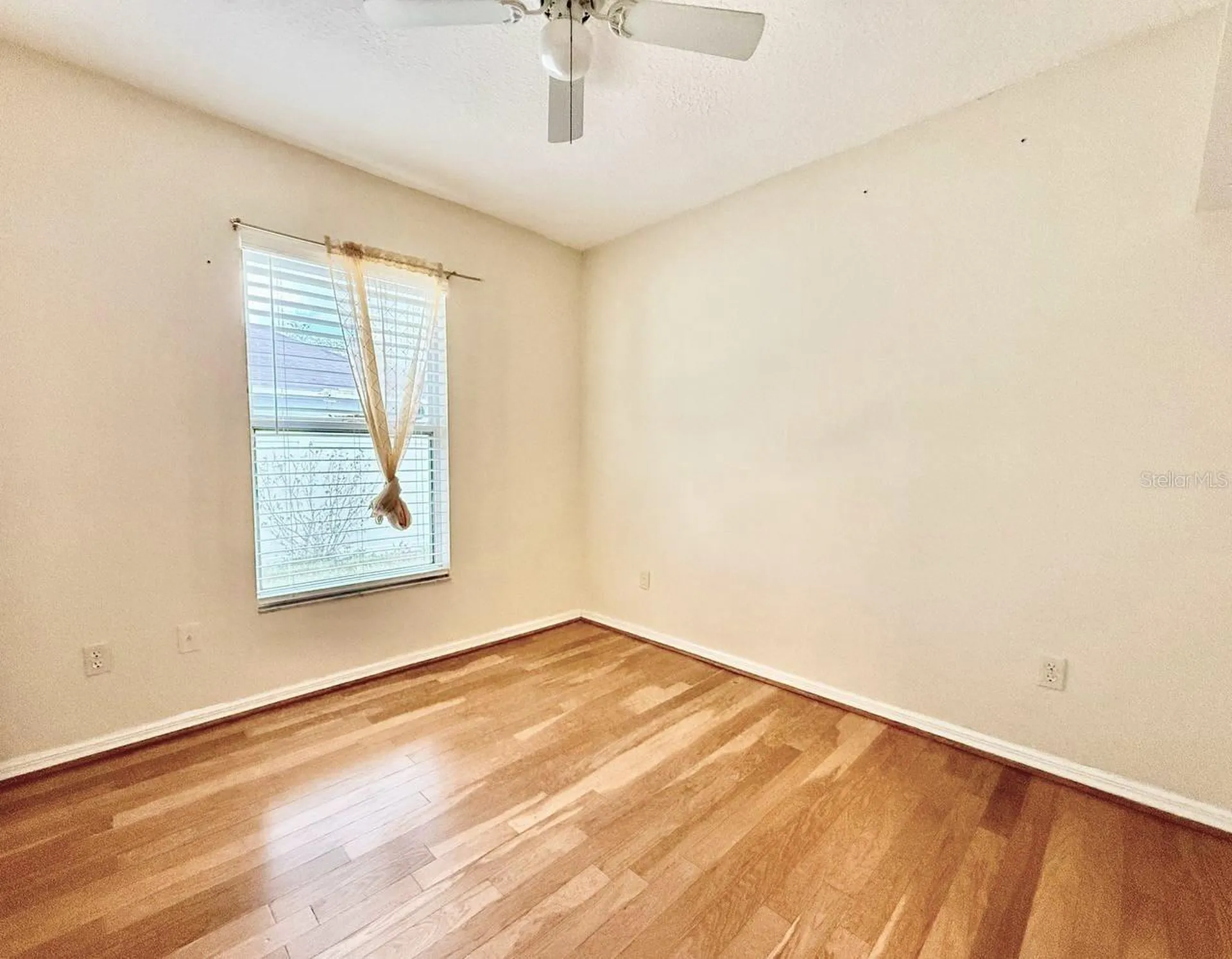 6807 Kingston Drive Tampa FL 33619