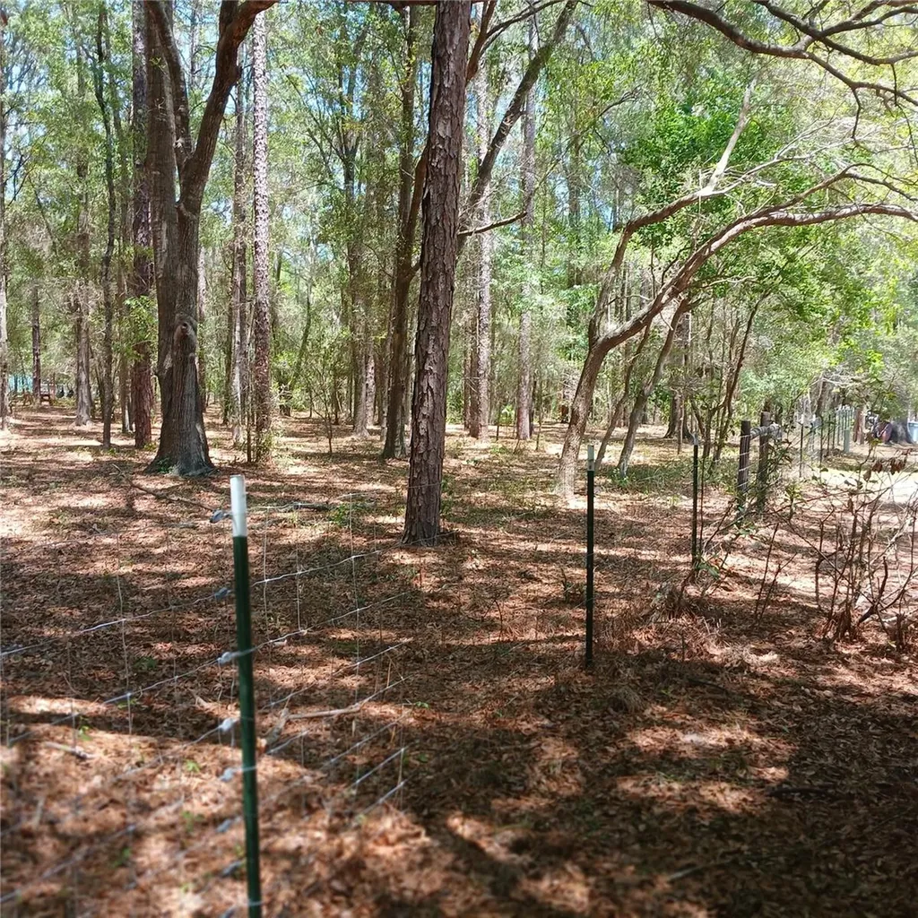 7899 W Fostoria Drive Dunnellon FL 34433
