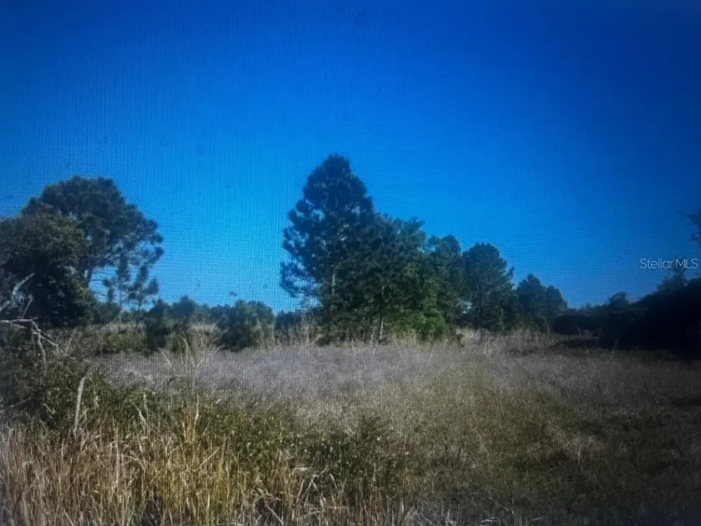 733 N Tarry Lane Lorida FL 33857