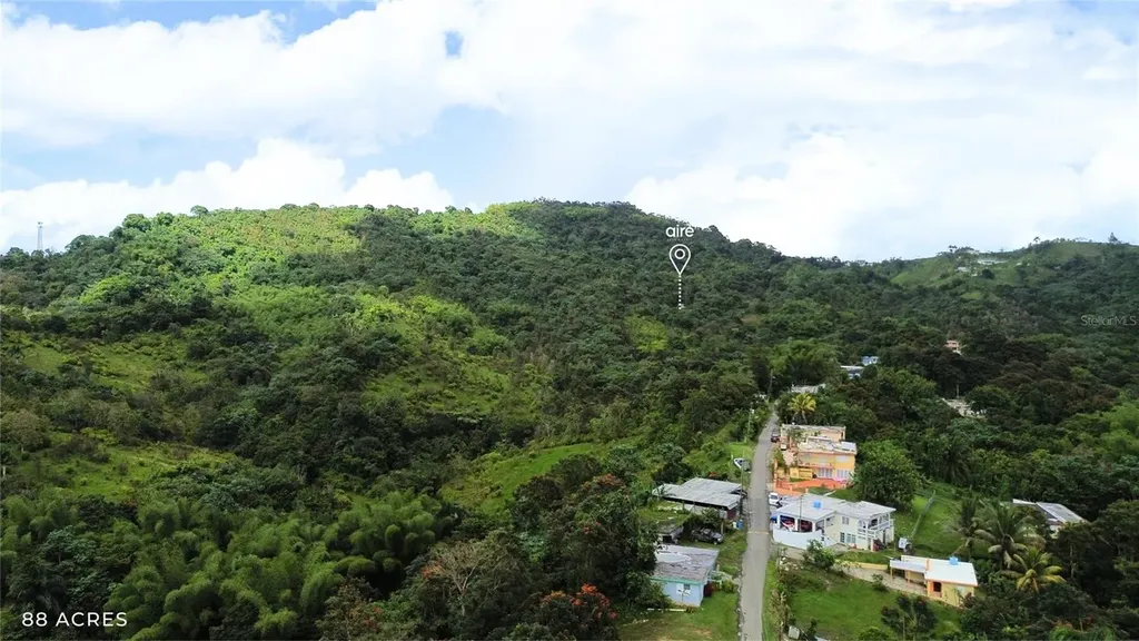 PR-181 Km 11.0 Cayaguaz San Lorenzo PR 00754