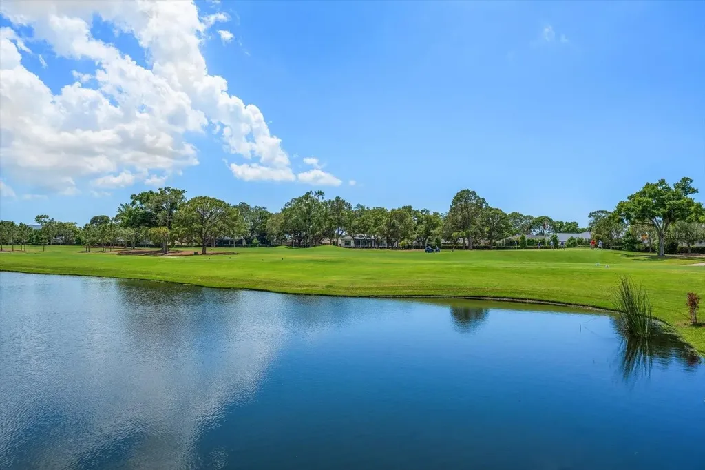 19 Hibiscus Road Belleair FL 33756