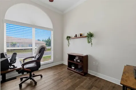 2120 Flameflower Court Trinity FL 34655