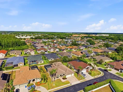 2120 Flameflower Court Trinity FL 34655