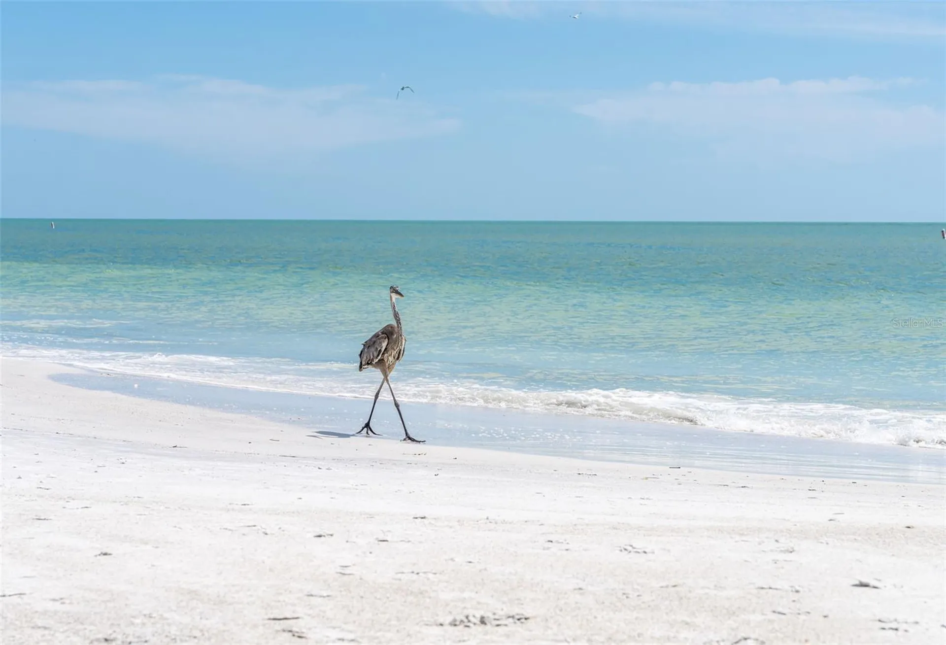 417 Poinsettia Road Anna Maria FL 34216