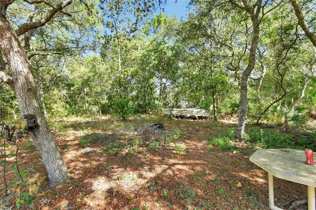45742 Ohio Street Paisley FL 32767