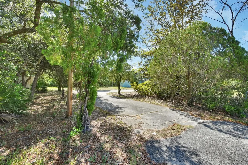 45742 Ohio Street Paisley FL 32767
