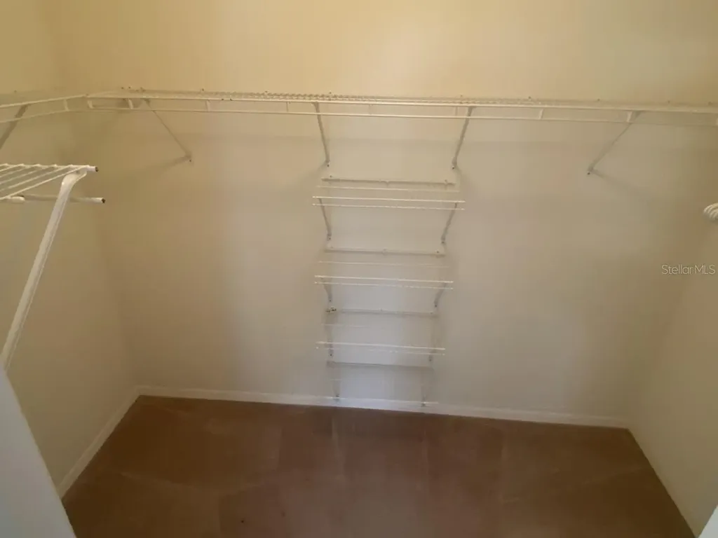 28826 Raindance Avenue Wesley Chapel FL 33543