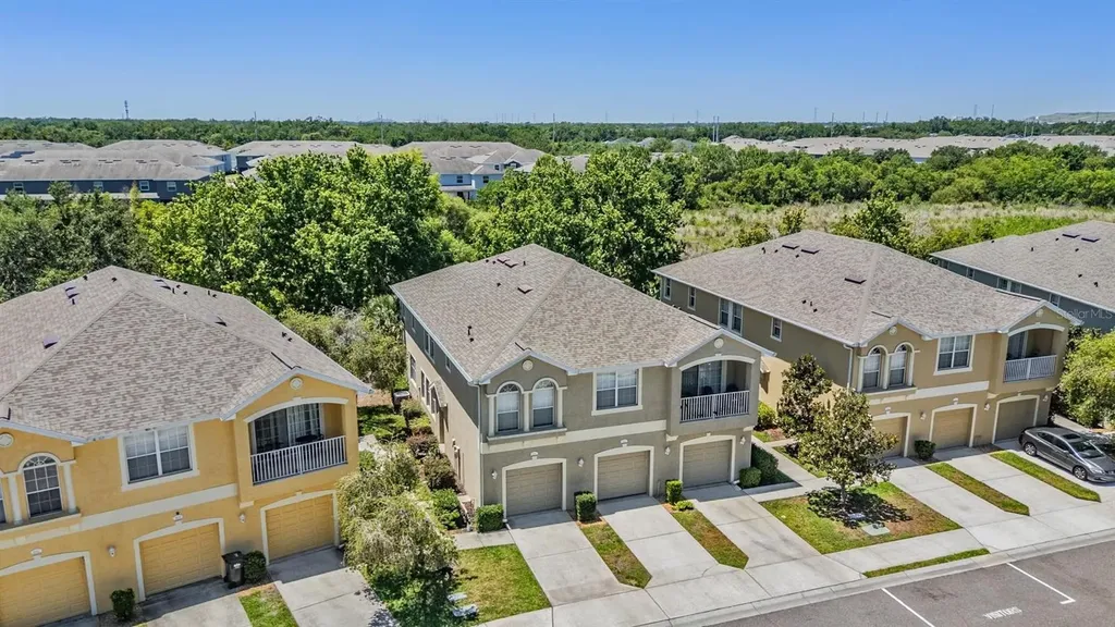 9048 Moonlit Meadows Loop Riverview FL 33578