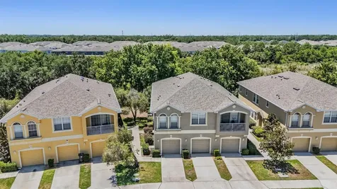 9048 Moonlit Meadows Loop Riverview FL 33578