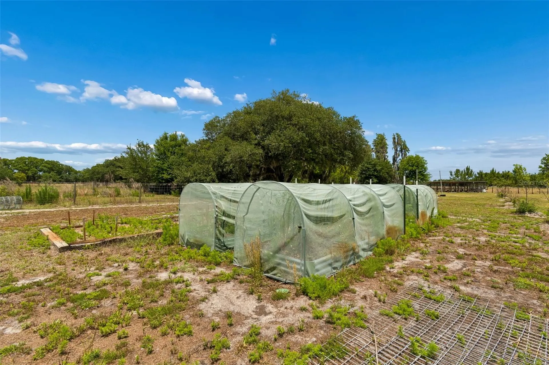 41451 Nipper Road Zephyrhills FL 33540