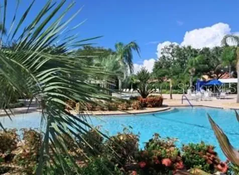 5646 Sunset Falls Drive Apollo Beach FL 33572