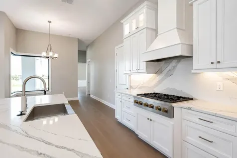 4866 Freccia Loop Wesley Chapel FL 33543