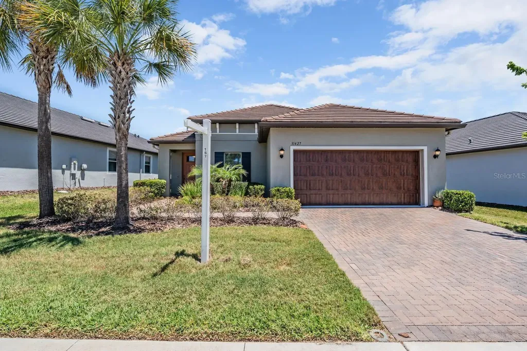 31427 Cannon Rush Drive San Antonio FL 33576