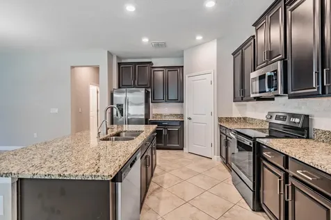 31427 Cannon Rush Drive San Antonio FL 33576