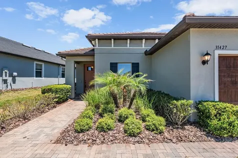 31427 Cannon Rush Drive San Antonio FL 33576
