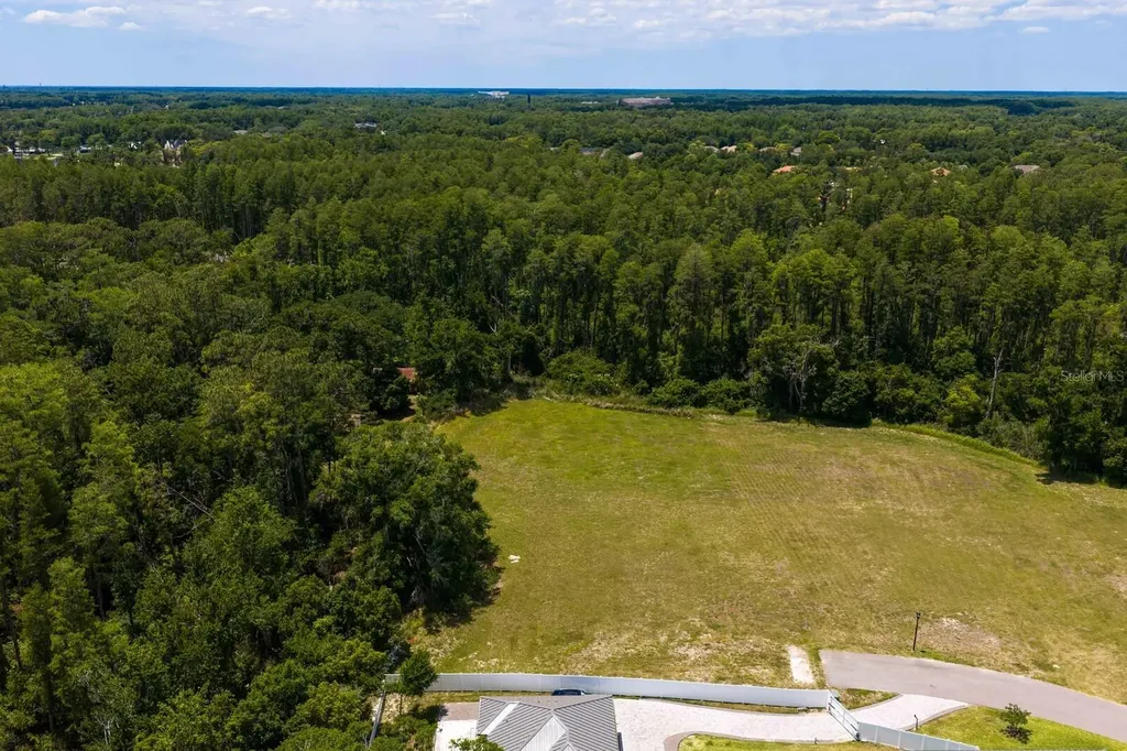 297 Magnolia Acres Court Lutz FL 33548