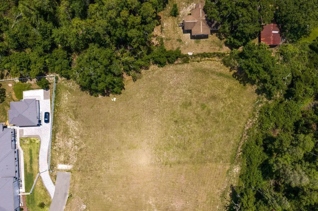 297 Magnolia Acres Court Lutz FL 33548