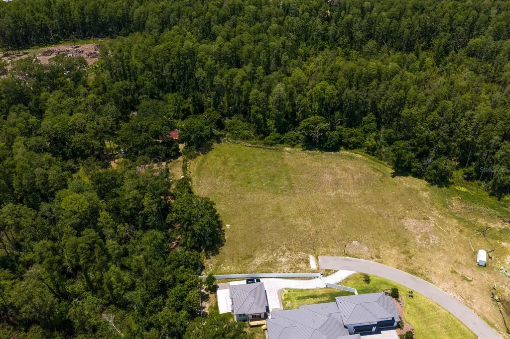 297 Magnolia Acres Court Lutz FL 33548
