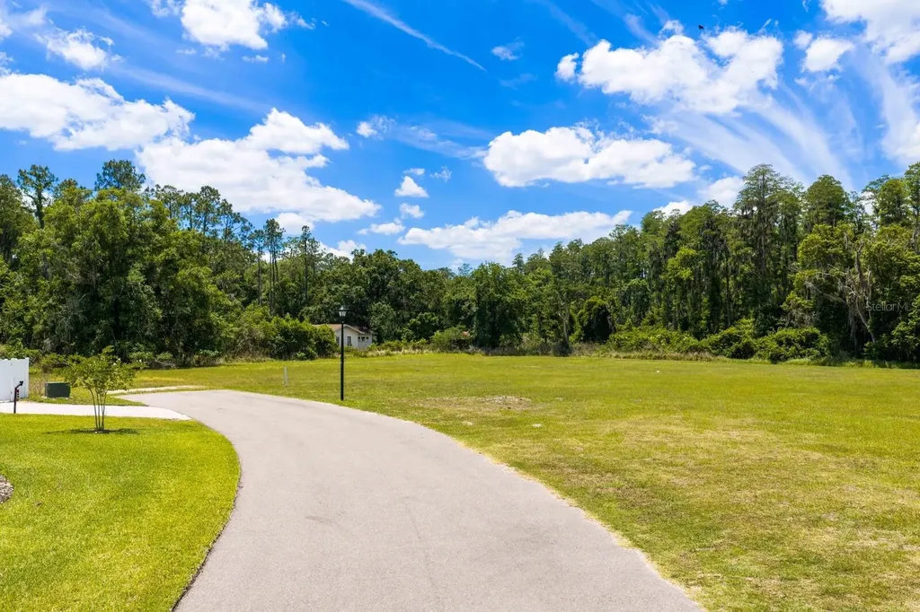297 Magnolia Acres Court Lutz FL 33548