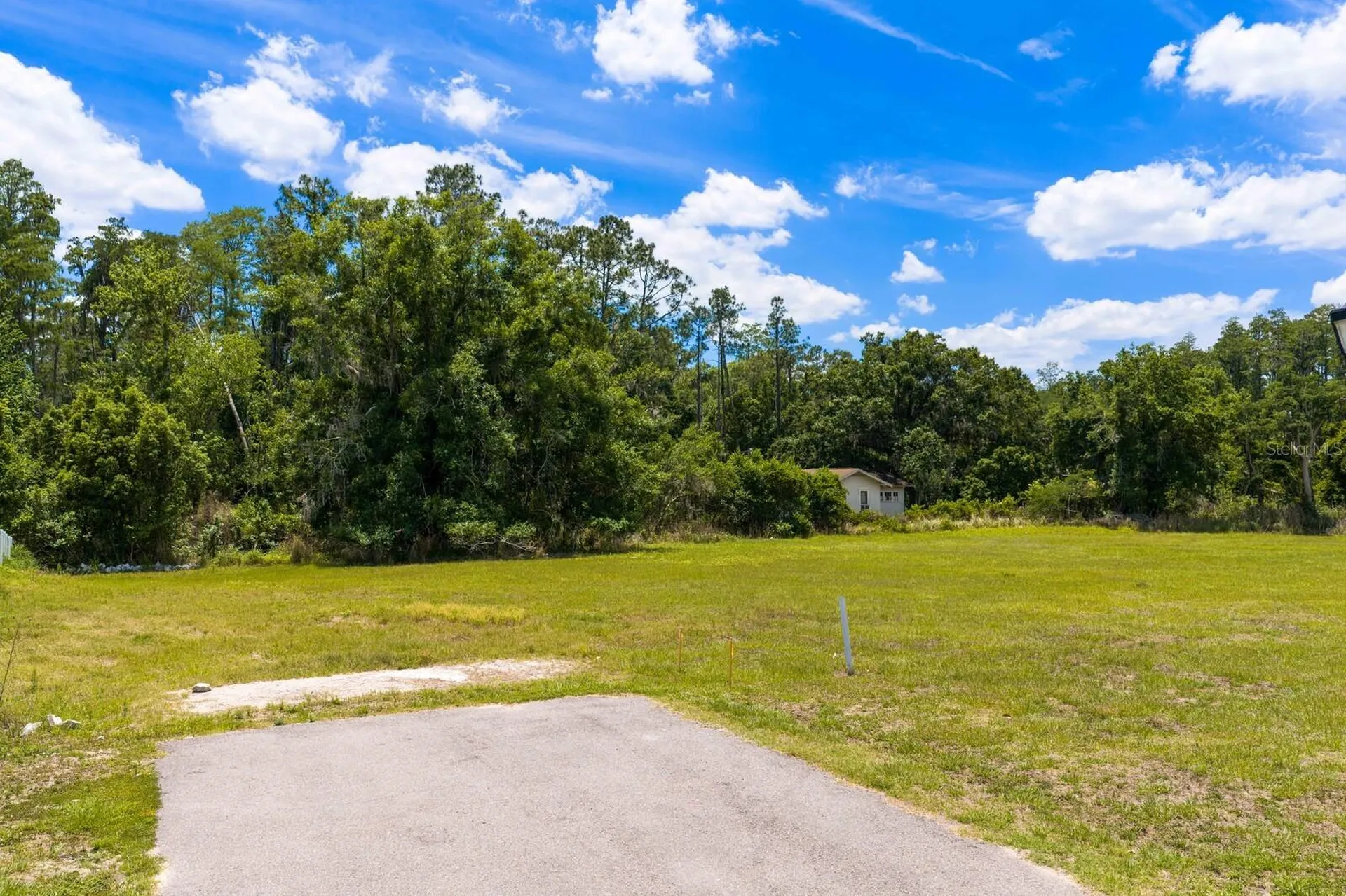 297 Magnolia Acres Court Lutz FL 33548