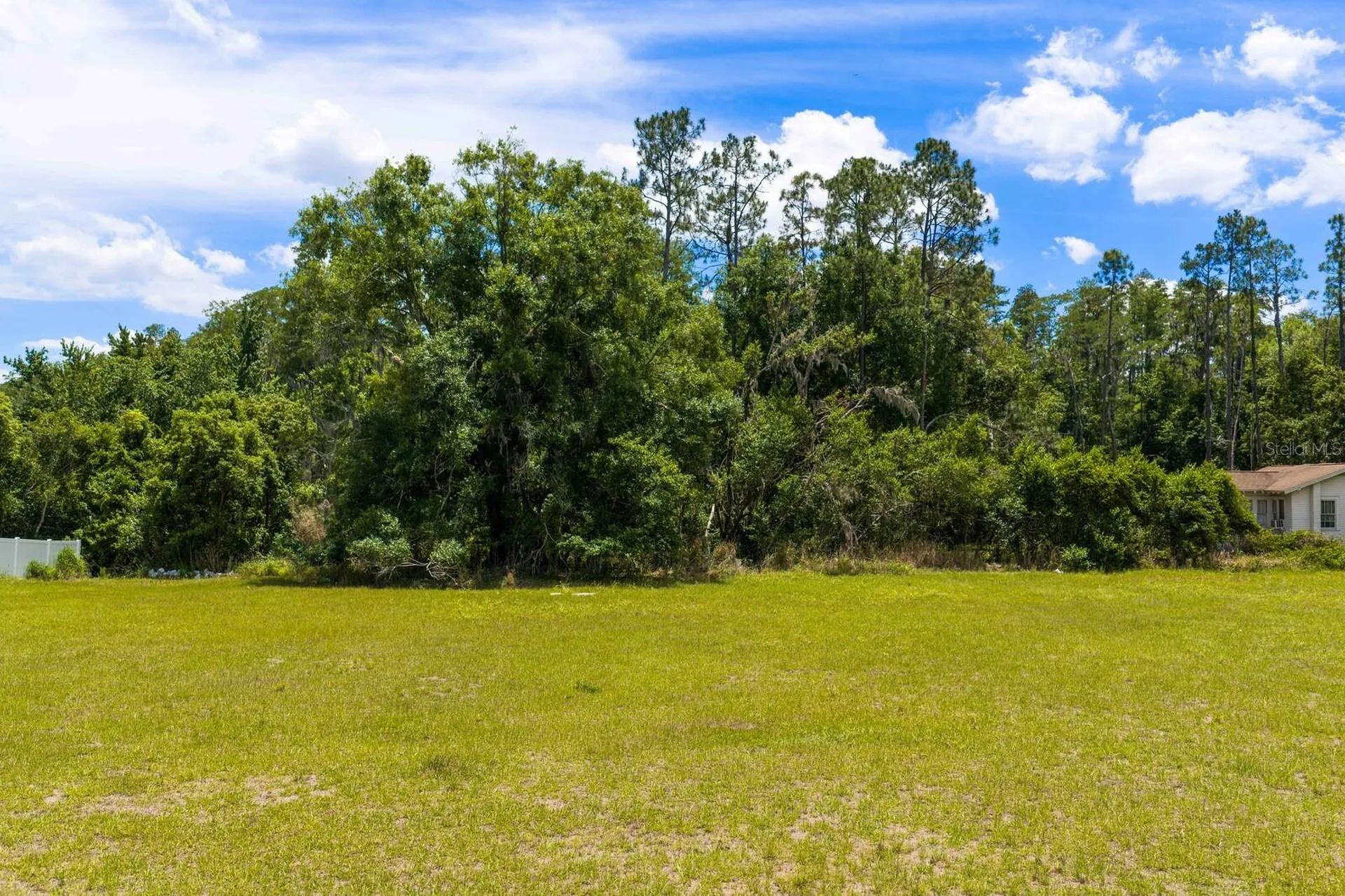 297 Magnolia Acres Court Lutz FL 33548