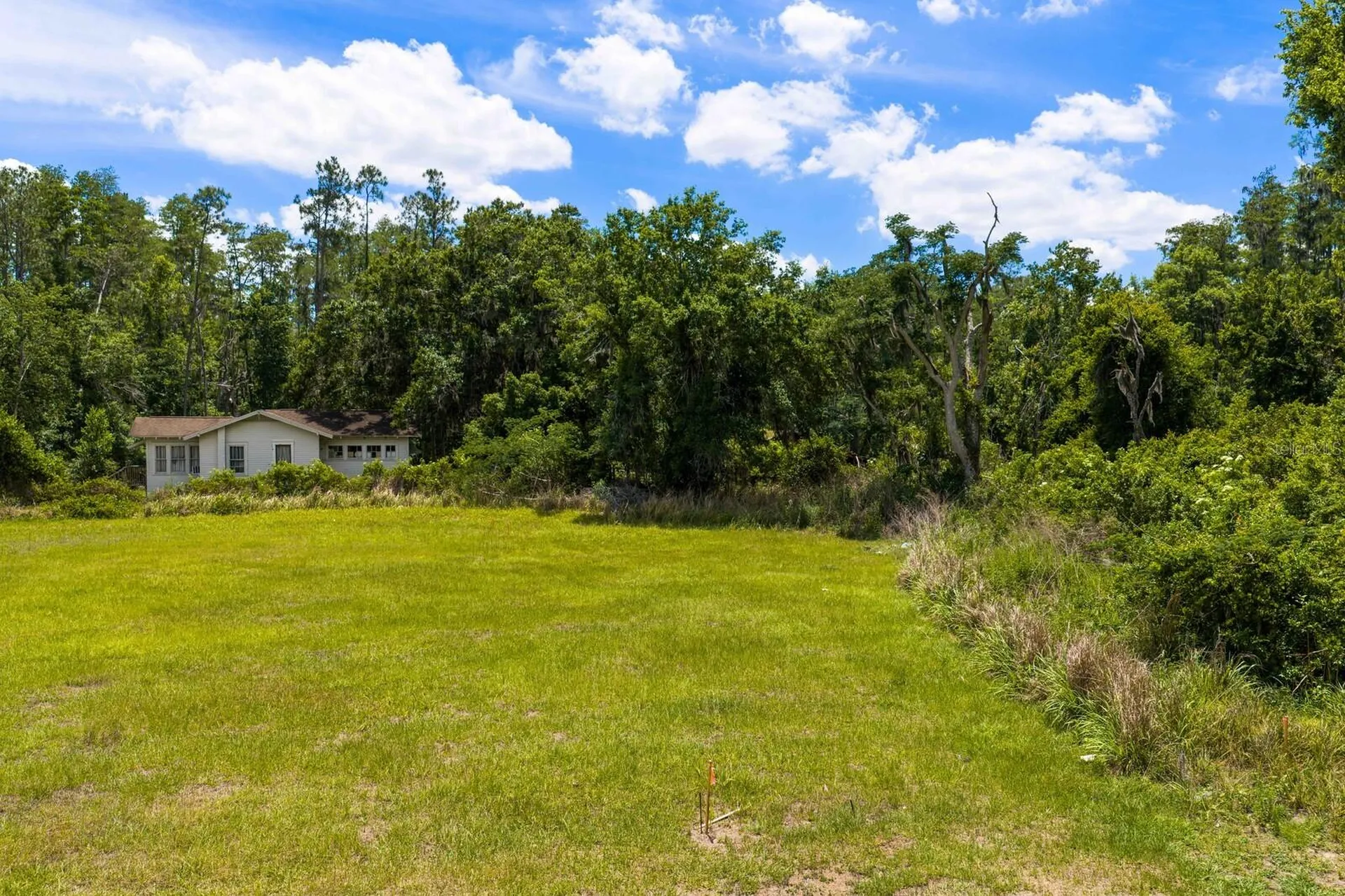 297 Magnolia Acres Court Lutz FL 33548