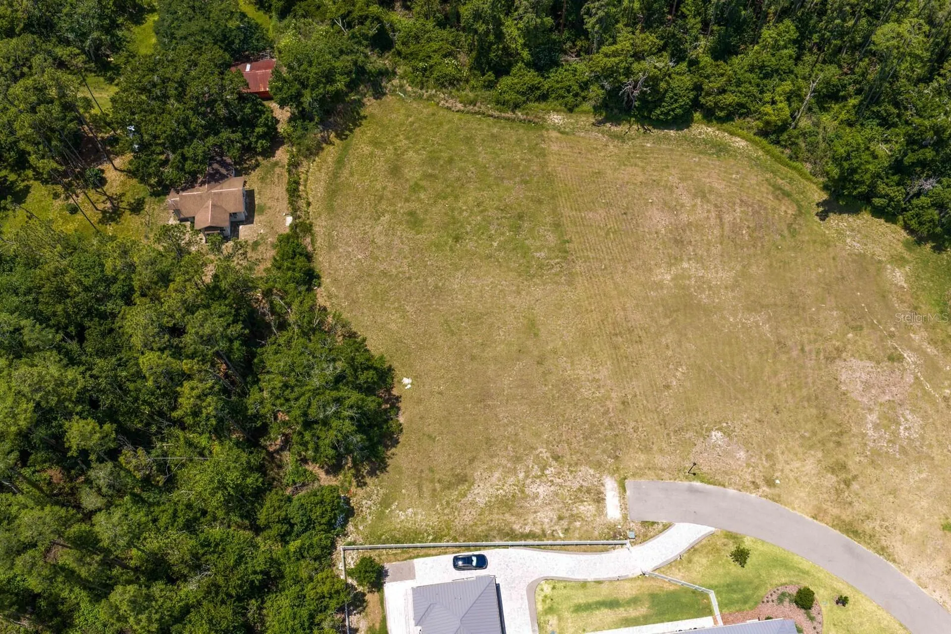 297 Magnolia Acres Court Lutz FL 33548