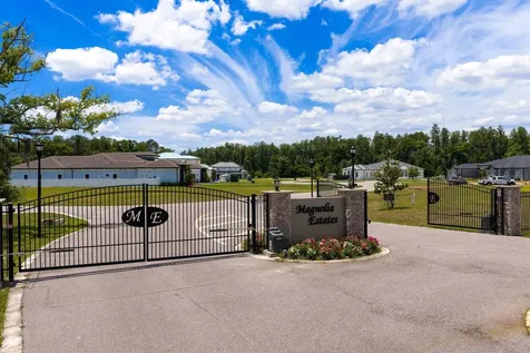 297 Magnolia Acres Court Lutz FL 33548
