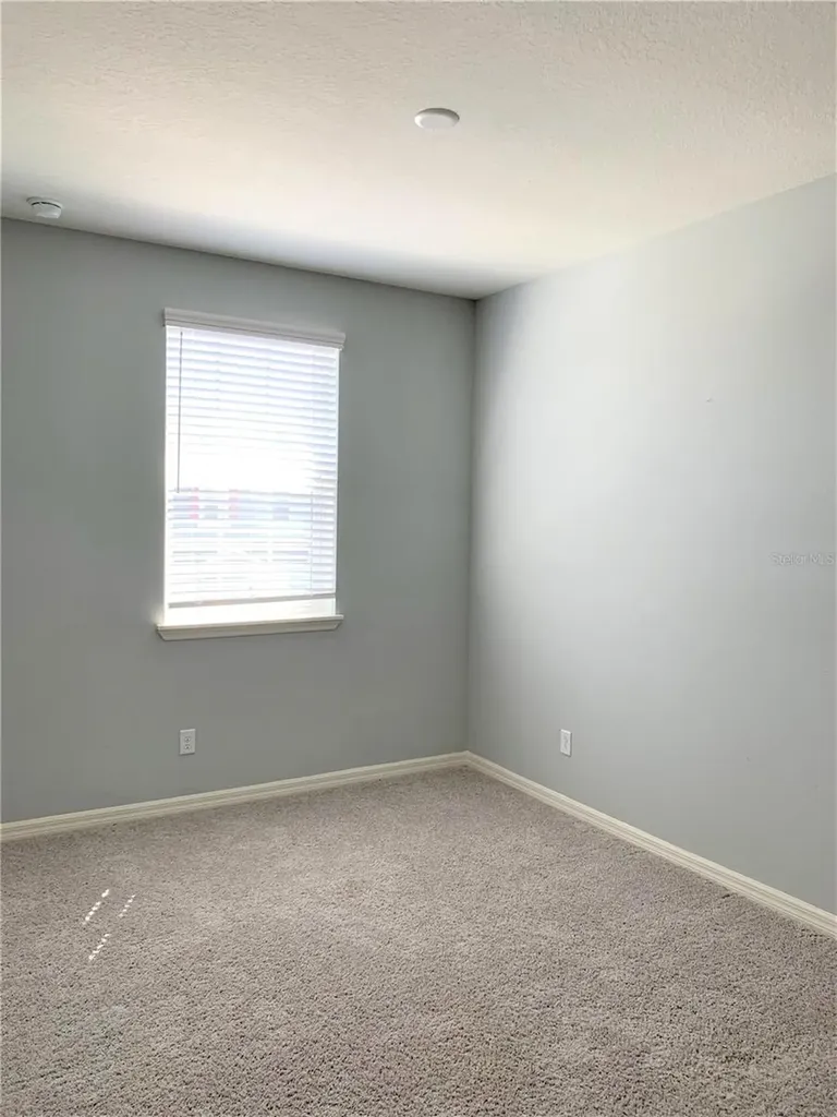 1073 Amber Leaf Trail Wesley Chapel FL 33544