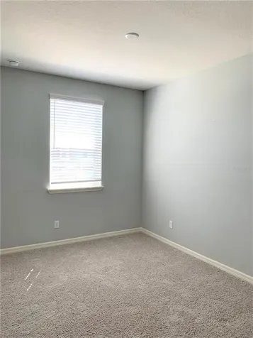 1073 Amber Leaf Trail Wesley Chapel FL 33544